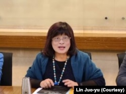 台湾东南亚与南亚协会理事长林若雩（林若雩提供）