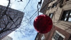 Арт-ужины в Нью-Йорке 