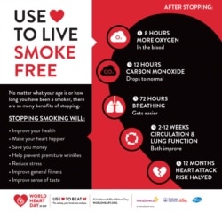 The World Heart Day Infographic © World Heart Federation