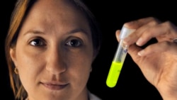 Quiz - How the Coronavirus Affects Research at Colleges Worldwide