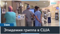 Грипп в США 