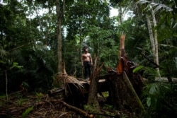 An indigenous man called Tebu, of Uru-eu-wau-wau tribe, looks on in an area deforested by invaders in the village of Alto Jaru, at the Uru-eu-wau-wau Indigenous Reservation near Campo Novo de Rondonia, Brazil February 1, 2019.