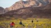 Tourists take picture of wildflowers near Badwater Basin in Death Valley, California (February 24, 2016) 