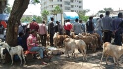 Jala-butii Bara Haaraa Itiyoophiyaatti Gatiin Oomishaalee Baay’ee Dabaluu dubbatu Jiraattonni