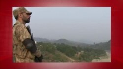 د ډیوه د روانو چارو خپرونه په ټي وي
