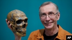 Swedish scientist Svante Paabo, with a replica of a Neanderthal skeleton in Leipzig, Germany, on Oct. 3, 2022, won the 2022 Nobel Prize in Physiology or Medicine for his discoveries on human evolution. (AP Photo/Matthias Schrader)