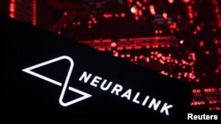 Ілюстрація з логотипом Neuralink на материнській платі комп’ютера, 15 травня 2024 року. REUTERS/Dado Ruvic