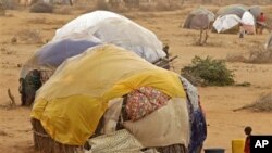 Un enfant devant une hutte dans un camps de réfugiés de Dadaab
