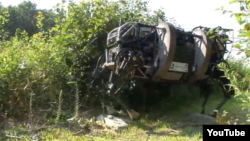 YouTube视频显示“犬王”机器人驮兽行走在灌木丛中。