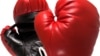 Sports Minister Vows to Revive Boxing in Zimbabwe