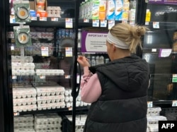 2025년 1월 28일 미국 버지니아 맥클린에 있는 한 식료품 매장에서 한 소비자가 계란을 고르고 있다. (자료사진)