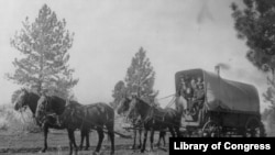 Covered Wagon of the Old West