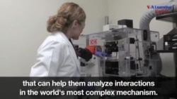 Researchers Seek Ways to Help Damaged Brains Heal