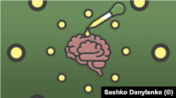 Введення додаткового, зовнішнього канабідіолу у формі екстракту посилює заспокоюючий ефект