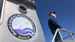 Scott Benson, an ecologist and leatherback turtle expert with the National Oceanic and Atmospheric Administration Fisheries Service, based in Moss Landing looks out over the water from his research boat in Monterey, Calif., on March 25, 2021. (AP Photo/Ha