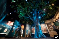 Photo shows an actual piece of the Annapolis, Md., Liberty Tree, embedded into an 18-foot-tall tree replica as a touchable element at the Museum of the American Revolution in Philadelphia. (AP Photo/Matt Rourke)
