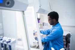 In this undated photo from the University of Oxford, a researcher works on the coronavirus vaccine developed by AstraZeneca and Oxford University. (University of Oxford/John Cairns)