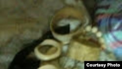 Un réseau Ouest-Africain de trafic d’ivoire démantelé à Kinshasa /RDC