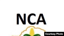 National Constitutional Assembly