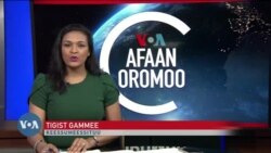 Tamsaasa Guyaadhaa Guyyaa