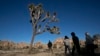 National Parks Deal with Damage After Government Shutdown