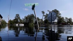 Street signs protrude through floodwaters in the aftermath of Hurricane Florence in Nichols, S.C., Friday, Sept. 21, 2018. (AP Photo/Gerald Herbert)
