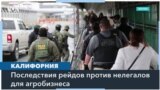 Влияние депортаций нелегальных иммигрантов на сельское хозяйство 