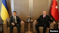 Владимир Зеленский и Реджеп Тайип Эрдоган
