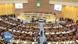 ‘Biyyoottan Afriikaa Miidhaa Yeroo ‘Gita Bittaa’ Irragahe jedhameef Beenyaa Gaafataa Jiran’