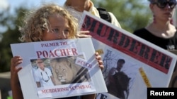 Protesters hold signs during a rally outside the River Bluff Dental clinic against the killing of a famous lion in Zimbabwe, in Bloomington, Minnesota, July 29, 2015. 