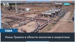 «Бури, детка, бури» 