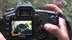 Cartes postales gabonnaises