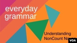 Understanding NonCount Nouns