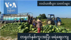 တရုတ်နှစ်ကူးအပြီး ဖရဲဈေးကျ “လယ်ယာစီးပွားသတင်းများ”