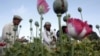 Afghan Opium Production Jumps