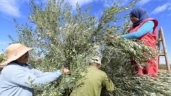 La Tunisie a besoin d'un accord avec le FMI; le taux du chômage en recul aux Etats-Unis
