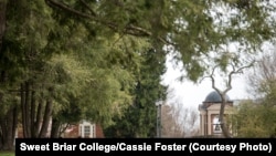 Students sit outside at Sweet Briar College, which came very close to closing in 2015.