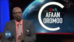 Mormii Shufeerota Kaanaada fi Tarkaanfii Mootummaa