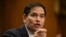 အမေရိကန် နိုင်ငံခြားရေးဝန်ကြီး Marco Rubio (Photo by ANDREW CABALLERO-REYNOLDS / AFP)