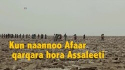 Naannoo Affaar hora Assaaleeti jiraattonni hojii soogidda baasuu irraatti bobba'an mootummaan naannoo isaanii investarootaaf banuun "nu yaaddeessa" jedhan.