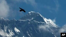 FILE - In this May 27, 2019, file photo, a bird flies with Mount Everest seen in the background from Namche Bajar, Solukhumbu district, Nepal. (AP Photo/Niranjan Shrestha, File)