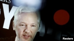 Julian Assange parle lors d'une conférence de presse à Berlin, Allemagne, le 4 octobre 2016.