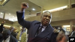 Vice President Phelekezela Mphoko
