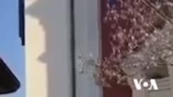 Arrest me burg për kryebashkiakun e Tiranës, Veliaj