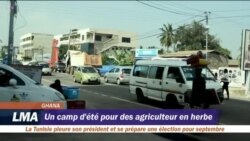 Un camp d'été pour des agriculteurs en herbe