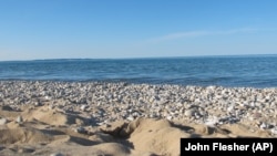FILE - Sand and pebbles on Glen Haven beach at Lake Michigan in Sleeping Bear Dunes National Lakeshore on June 29, 2011. The expression "first dibs" come from a children's game using pebbles.