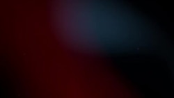 [나의 아메리카] '미국 정치계의 새내기' 임소정