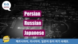 [VOA 발음연습] 과학 용어 발음하기 - hypothesis