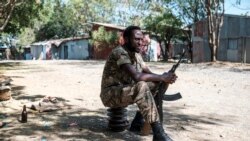 Tigré: les États-Unis appellent à une "cessation totale des combats"