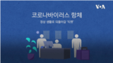 코로나바이러스 항체